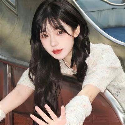 波士顿布莱奇中国历险记